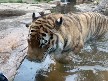 那須どうぶつ王国に投稿された画像（2023/5/28）
