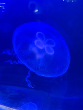 株式会社Gに投稿された画像（2023/5/28）