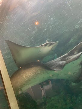 株式会社Gに投稿された画像（2023/5/28）