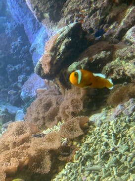 株式会社Gに投稿された画像（2023/5/28）