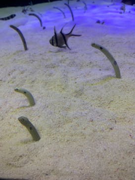 株式会社Gに投稿された画像（2023/5/28）