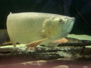 株式会社Gに投稿された画像（2023/5/28）