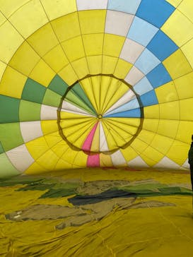 ウイニングバルーンクラブに投稿された画像（2023/5/28）