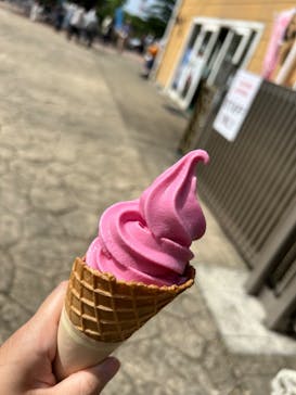 京成バラ園に投稿された画像（2023/5/28）