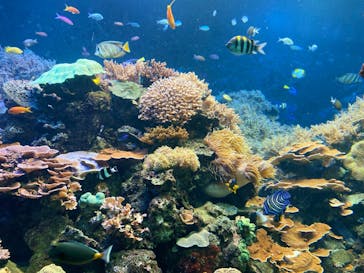 株式会社Gに投稿された画像（2023/5/28）