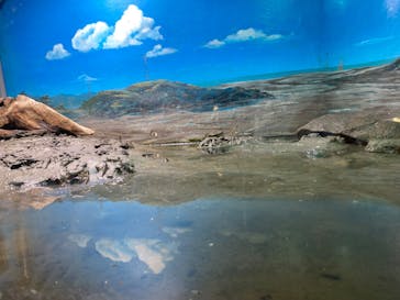 株式会社Gに投稿された画像（2023/5/28）