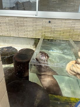 下田海中水族館に投稿された画像（2023/5/28）