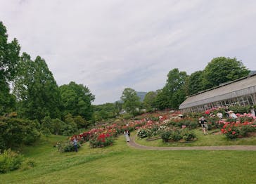 いばらきフラワーパークに投稿された画像（2023/5/28）