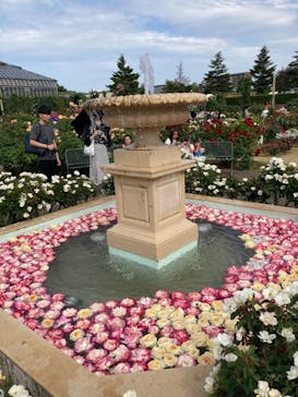 京成バラ園に投稿された画像（2023/5/28）