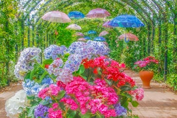 横浜イングリッシュガーデンに投稿された画像（2023/5/28）