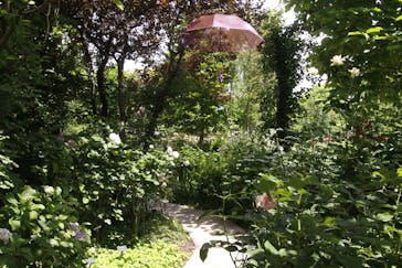 横浜イングリッシュガーデンに投稿された画像（2023/5/28）