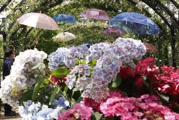 横浜イングリッシュガーデンに投稿された画像（2023/5/28）