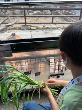 群馬サファリパークに投稿された画像（2023/5/28）