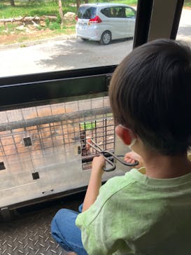 群馬サファリパークに投稿された画像（2023/5/28）