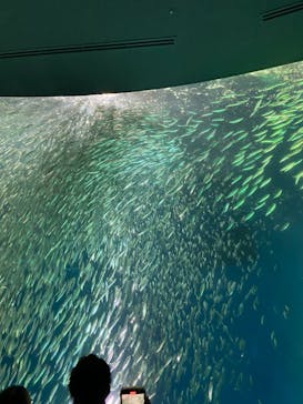 名古屋港水族館に投稿された画像（2023/5/28）