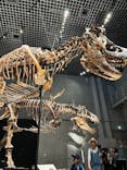 特別展「恐竜博2023」に投稿された画像（2023/5/28）
