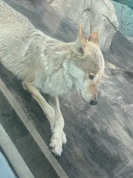 天王寺動物園に投稿された画像（2023/5/28）