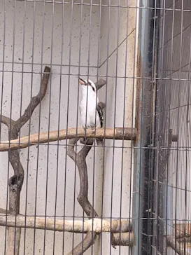 天王寺動物園に投稿された画像（2023/5/28）