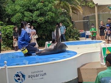サンシャイン水族館に投稿された画像（2023/5/28）