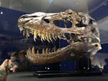 特別展「恐竜博2023」に投稿された画像（2023/5/28）
