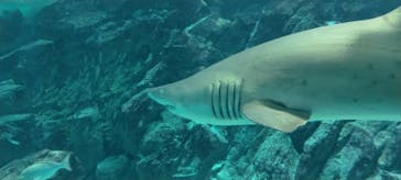 マリンワールド海の中道に投稿された画像（2023/5/28）