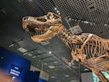 特別展「恐竜博2023」に投稿された画像（2023/5/28）