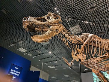 特別展「恐竜博2023」に投稿された画像（2023/5/28）
