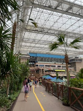 東京サマーランドに投稿された画像（2023/5/28）