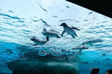 天王寺動物園に投稿された画像（2023/5/28）