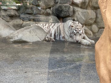 東武動物公園に投稿された画像（2023/5/28）