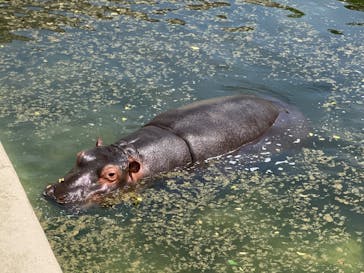 東武動物公園に投稿された画像（2023/5/28）