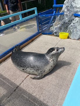 東武動物公園に投稿された画像（2023/5/28）