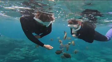 DIVING-SHOP SUNSに投稿された画像（2023/5/28）