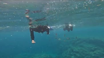 DIVING-SHOP SUNSに投稿された画像（2023/5/28）