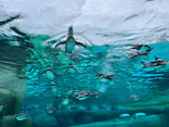 天王寺動物園に投稿された画像（2023/5/29）