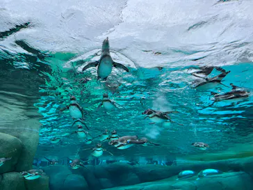 天王寺動物園に投稿された画像（2023/5/28）