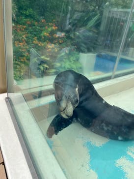 サンシャイン水族館に投稿された画像（2023/5/28）