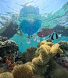 宮古島 ADVENTURE PiPi（ミヤコジマ アドベンチャー ピピ）に投稿された画像（2023/5/29）