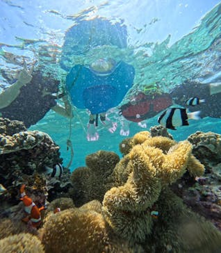 宮古島 ADVENTURE PiPi（ミヤコジマ アドベンチャー ピピ）に投稿された画像（2023/5/29）