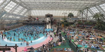 東京サマーランドに投稿された画像（2023/5/29）