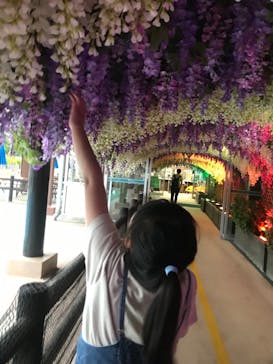 東京サマーランドに投稿された画像（2023/5/29）