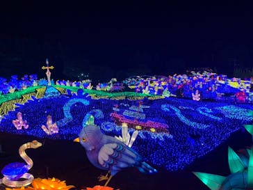 伊豆ぐらんぱる公園に投稿された画像（2023/5/29）