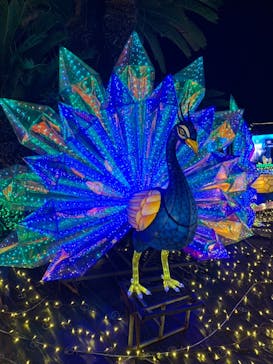 伊豆ぐらんぱる公園に投稿された画像（2023/5/29）