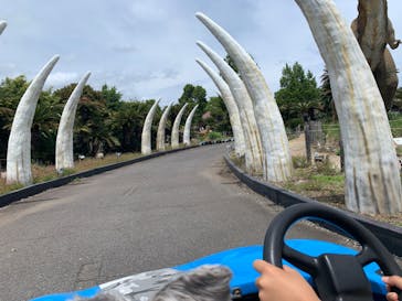 伊豆ぐらんぱる公園に投稿された画像（2023/5/29）