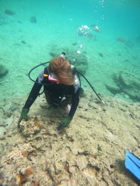 沖縄マリンサービス碧に投稿された画像（2023/5/29）