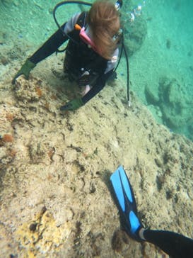 沖縄マリンサービス碧に投稿された画像（2023/5/29）