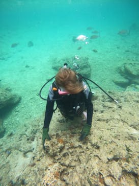 沖縄マリンサービス碧に投稿された画像（2023/5/29）