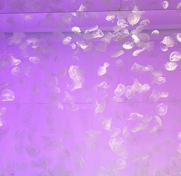 アクアワールド茨城県大洗水族館に投稿された画像（2023/5/29）