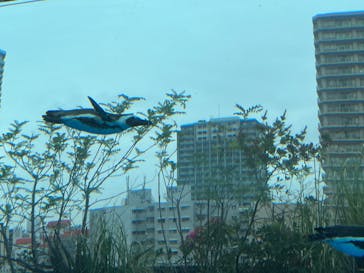 サンシャイン水族館に投稿された画像（2023/5/29）