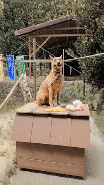 おきなわワールドに投稿された画像（2023/5/29）